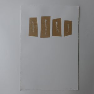 Caroline Dear Sphagnum - four drawings - Peat