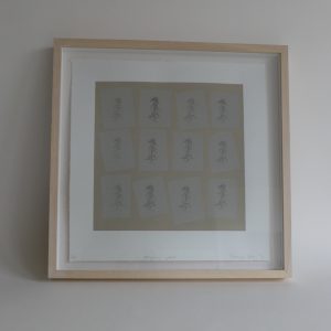 Caroline Dear Sphagnum - Peat